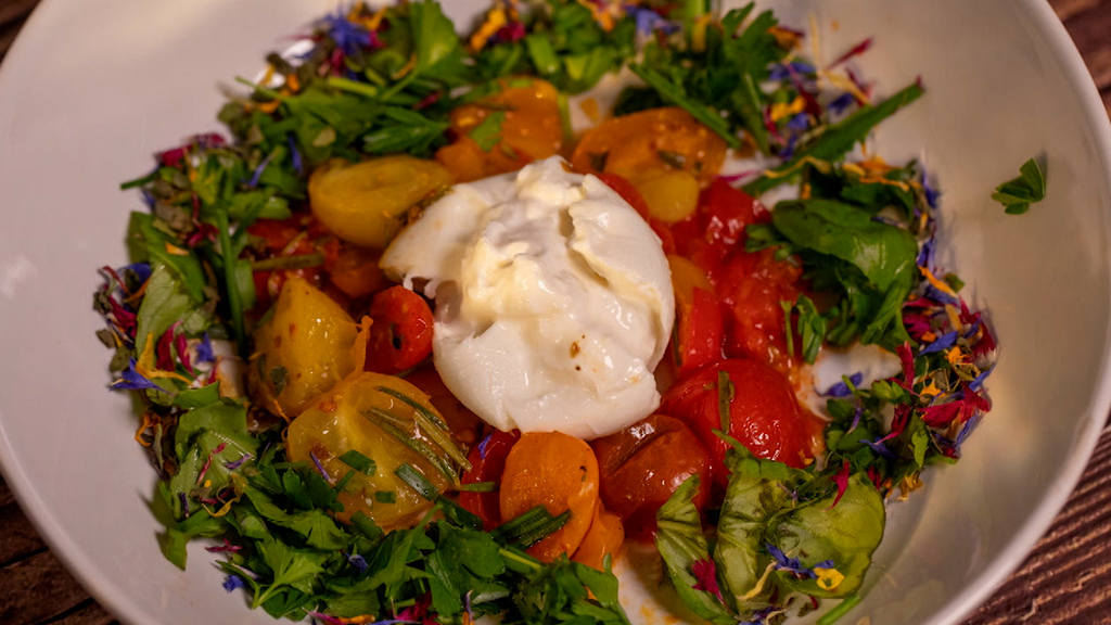 Burrata auf einem lauwarmen Beet aus Cherry-Tomaten und Kräutern