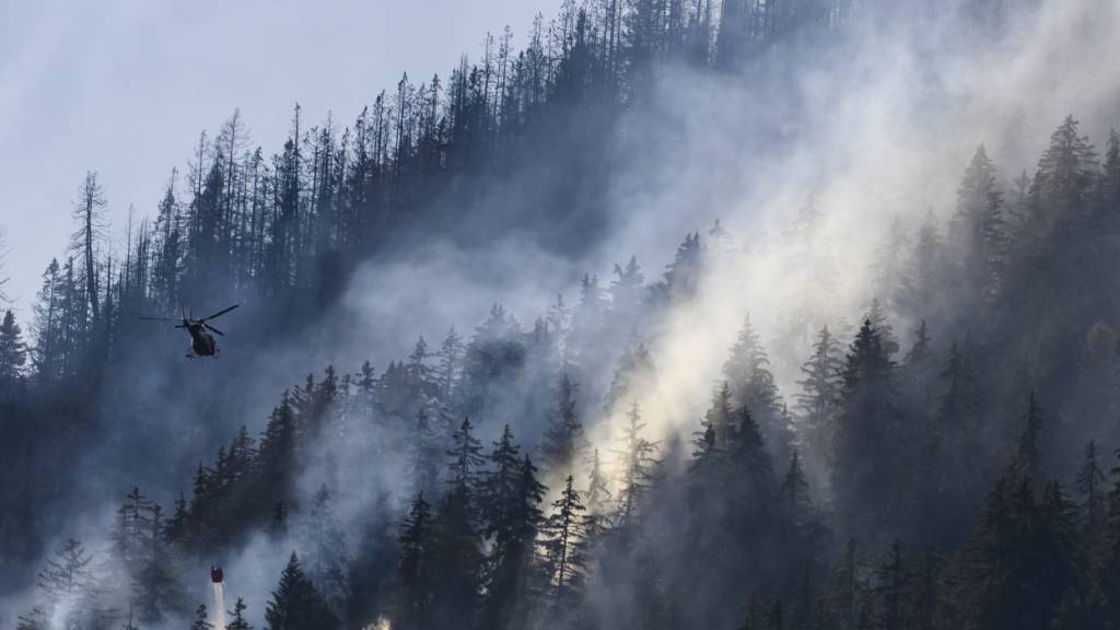 Am Freitag ist in einem Wald im Val d'Hérens ein Waldbrand ausgebrochen (Symbolfoto)