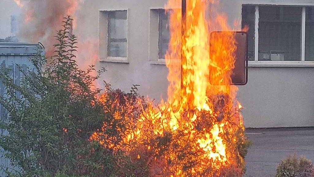 Hecke in Wohlen in Brand geraten – Polizei sucht nach zwei Kindern als mögliche Täter