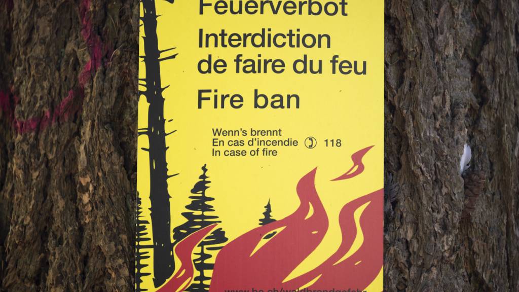 Im Thurgau gilt neu eine erhebliche Waldbrandgefahr
