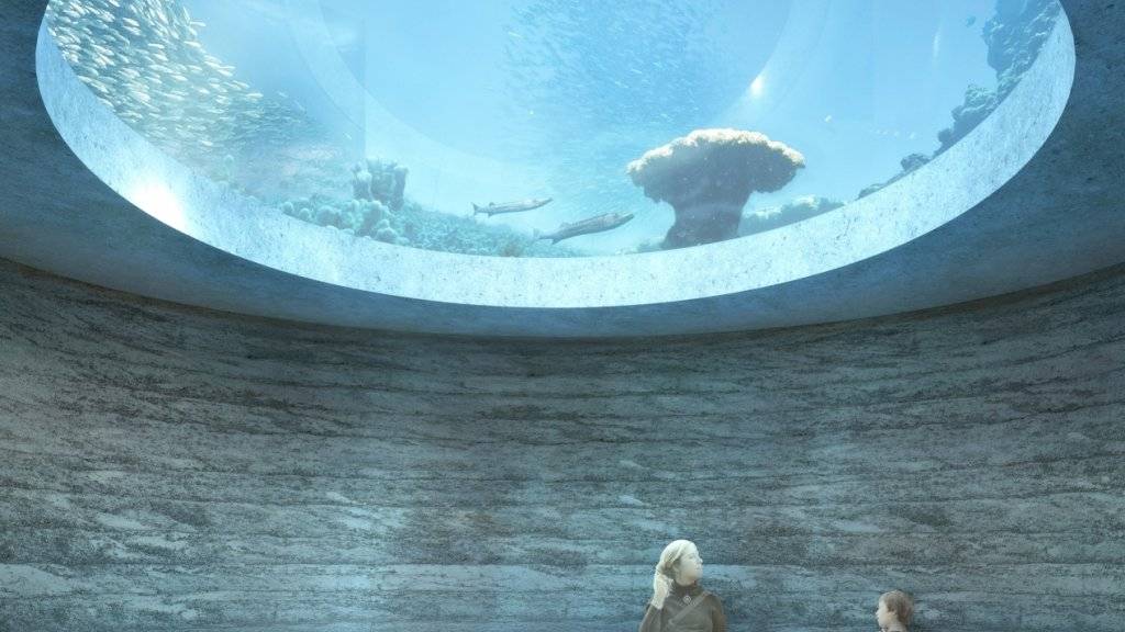 Der Zoo will im Ozeanium mittels Aquarien mit den jeweils passenden Tieren etwa Gezeitenströmungen oder Probleme des Mittelmeeres thematisieren. (Visualisierung)