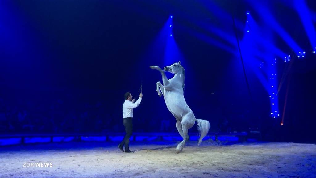 Circus Knie ist zurück