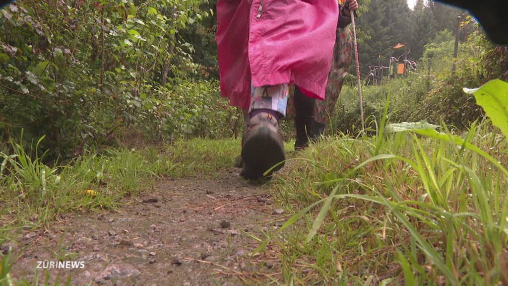 Vom Rollstuhl zurück ins Leben: Helen Häusler läuft 40 Kilometer nach Hause