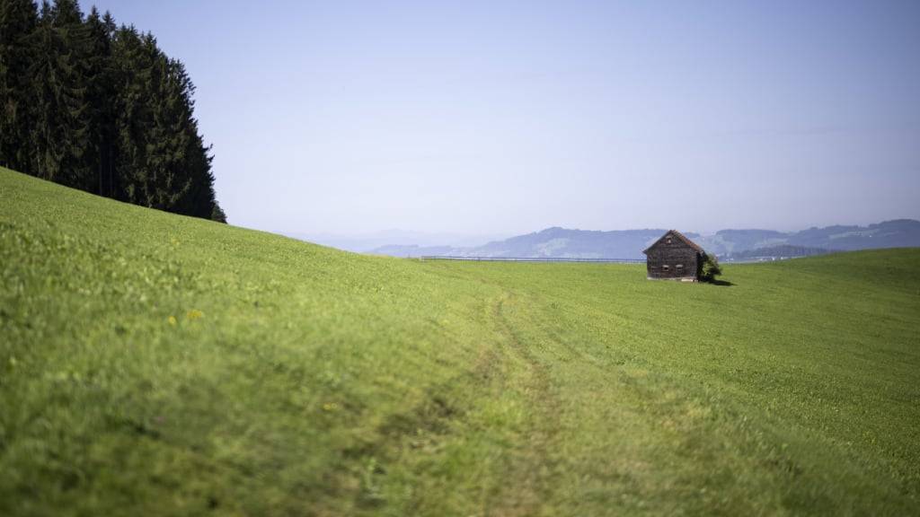 Von hohen PFAS-Belastungen betroffen ist unter anderem die Eggersrieter Höhe im Kanton St. Gallen. (Archivbild).