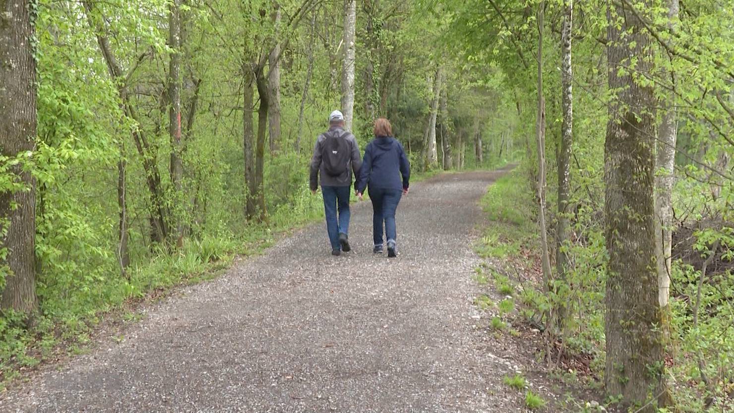 Waldspaziergang Mit Folgen Sohn Der Leere