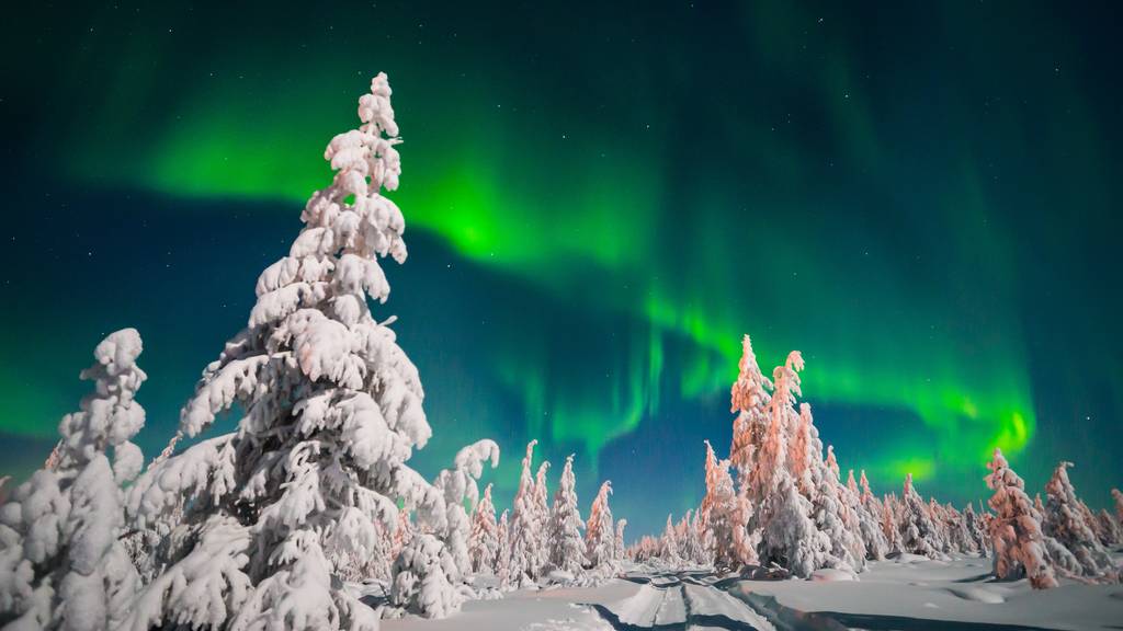 Sichere dir magische Nordlichter-Momente!