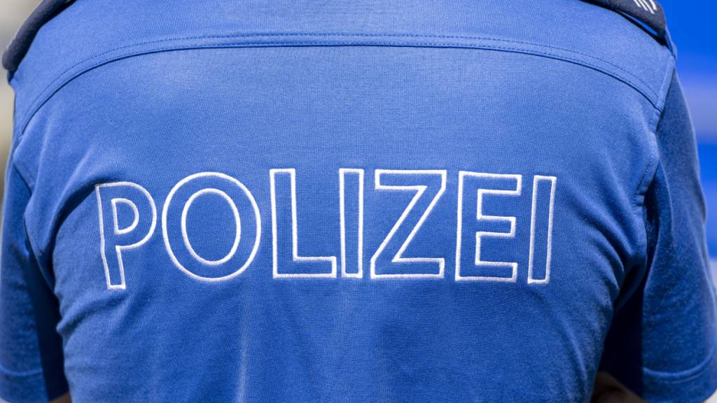 Die Luzerner Polizei hat am Montag zwei mutmassliche Einbrecher in Adligenswil festgenommen. (Symbolbild)