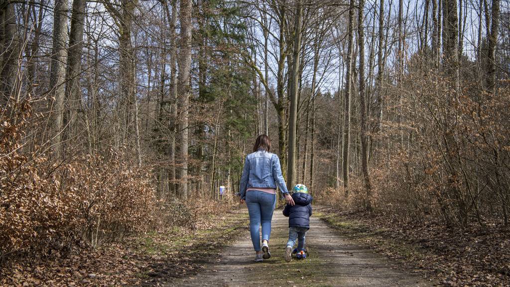 Grosser Rat zofft sich um Waldinitiative