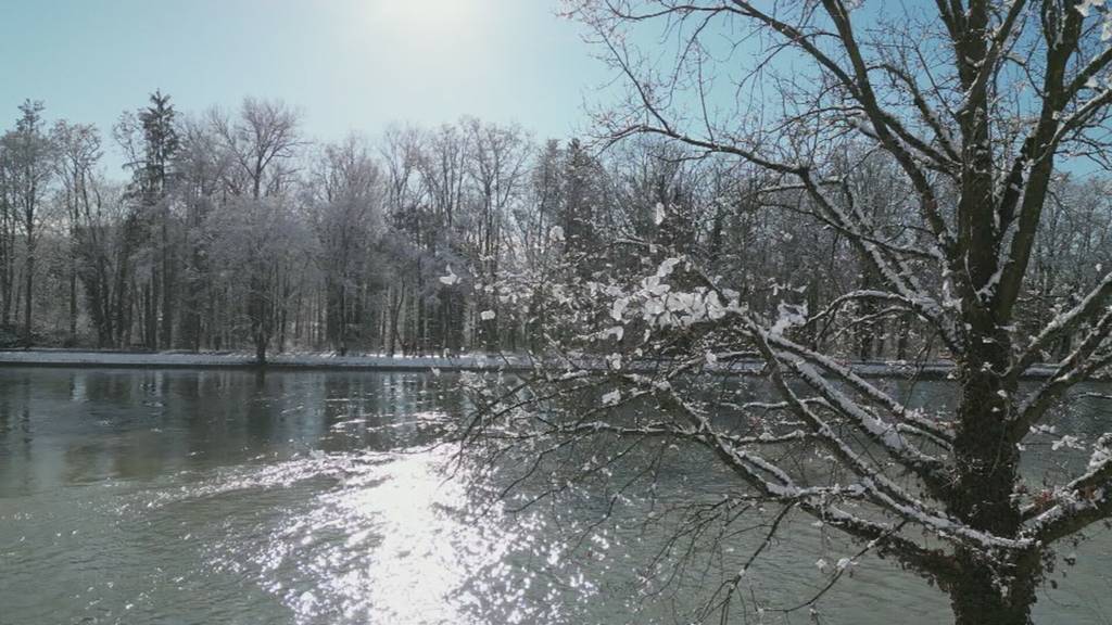 Winterwunderland: Das schöne Wetter lockt viele raus und Herrn Buchwalder in die Aare