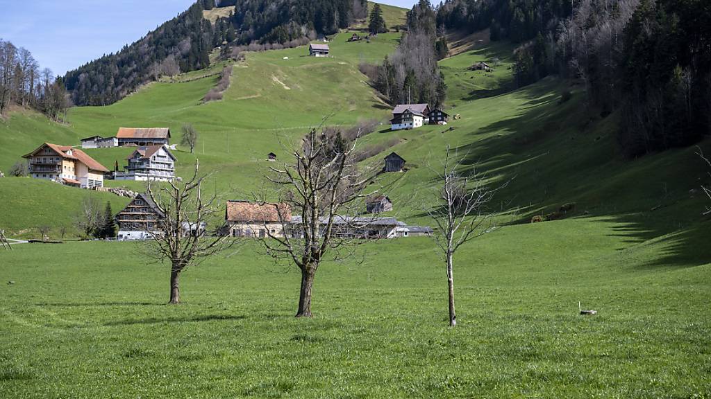 Das Gelände im Gebiet Altstatt in der Gemeinde Sattel soll für unverschmutzten Aushub benutzt werden.  (Archivbild)