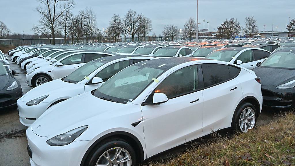 Die deutsche Regierung streicht den Umweltbonus beim Kauf von elektrischen Autos kurzfristig. (Archivbild)