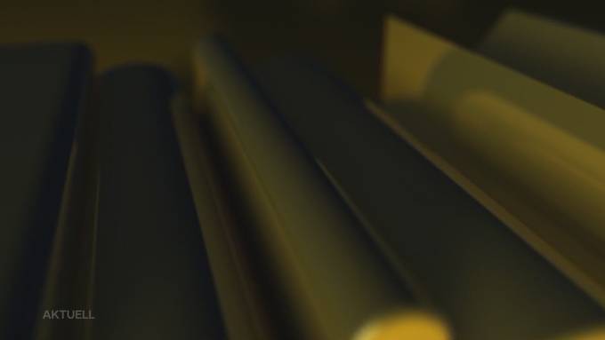 «Tele M1-Tollpatsch»: Wenn Tiere und Politiker den Reporter zum Verzweifeln bringen