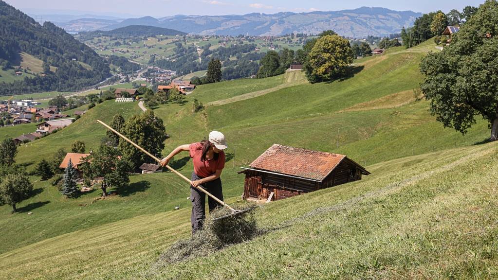 Rund 1000 Personen melden sich für einen freiwilligen Bergeinsatz bei Caritas Schweiz.