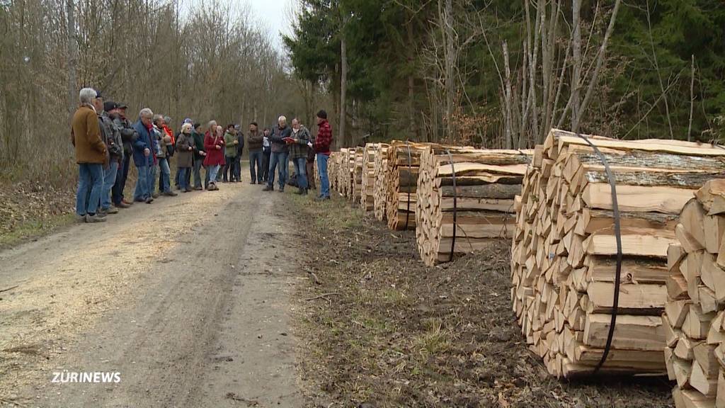 Mit viel Tradition: Brennholz-Versteigerung in Ellikon