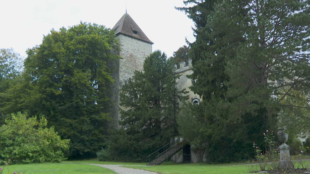 Schloss Gottlieben unter der Lupe: Dokumentation reicht zurück bis 1251