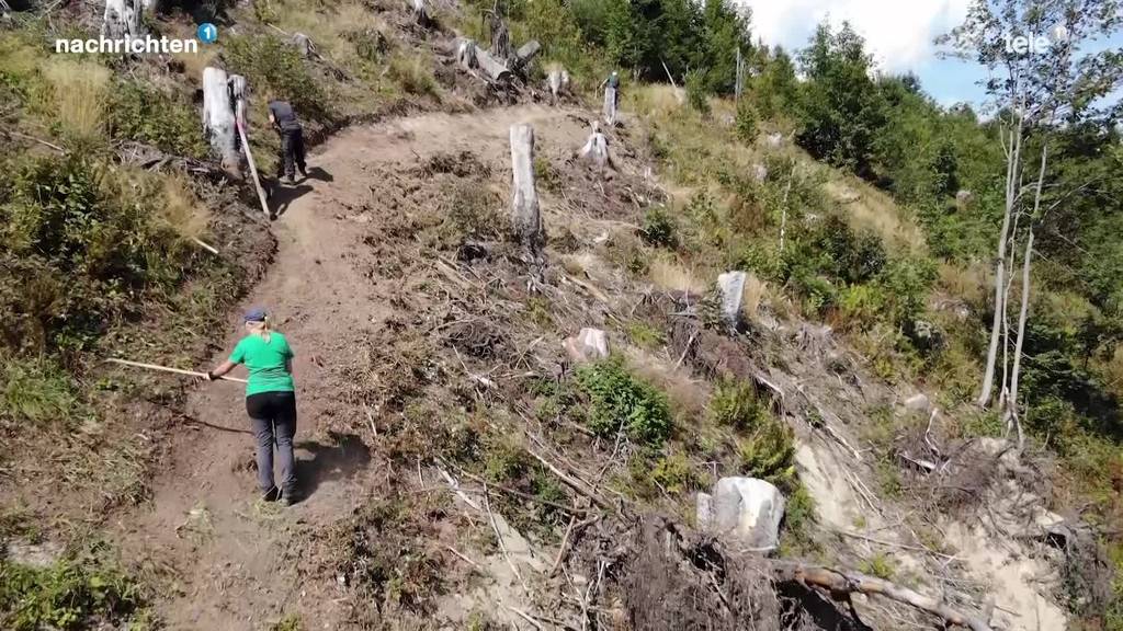 Unterwegs mit der Organisation «Bergwaldprojekt»