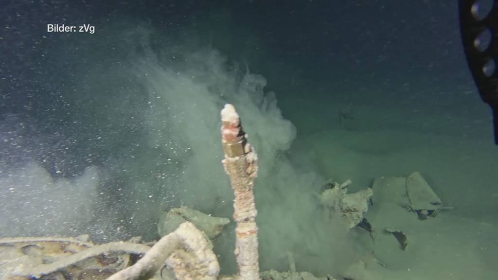 Leichenteile im Bodensee entdeckt: Viele Fragen nach spektakulärem Fund