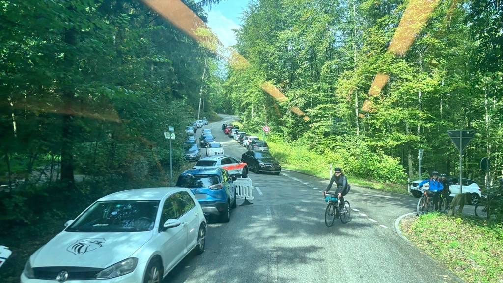 Autofahrer parkieren im Wald und auf Trottoirs