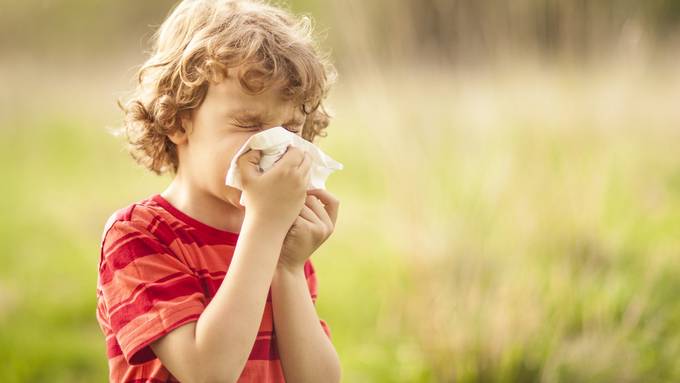 Allergiker werden von Pollen geplagt