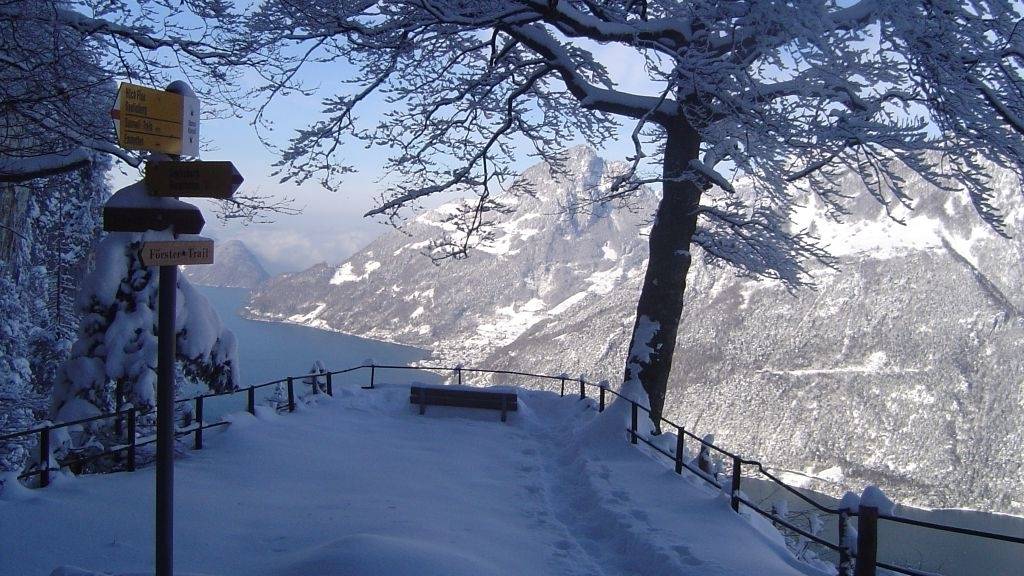 Freizeittipp:  Förstertrail Seelisberg und Stockhütte Schlittelweg