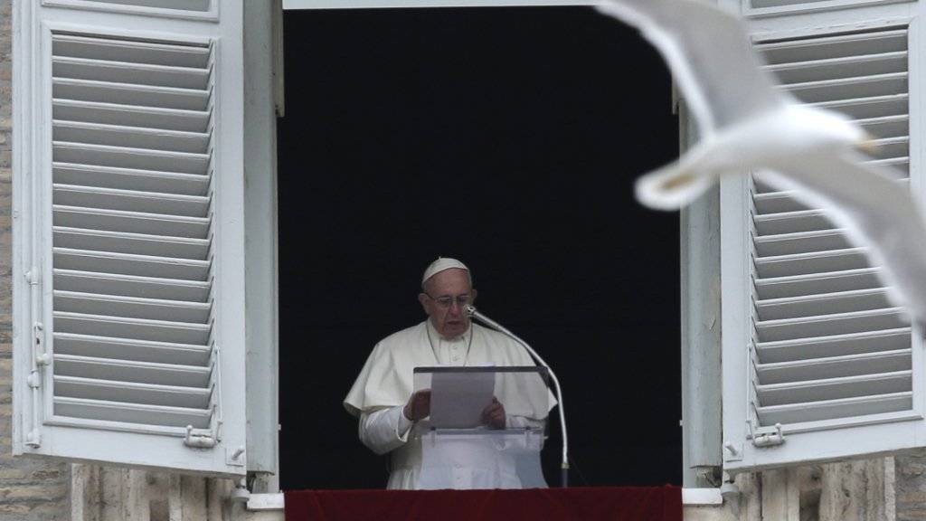Nur eine gemeinschaftliche Antwort in der Flüchtlingsfrage sei effektiv, ist Papst Franziskus überzeugt.