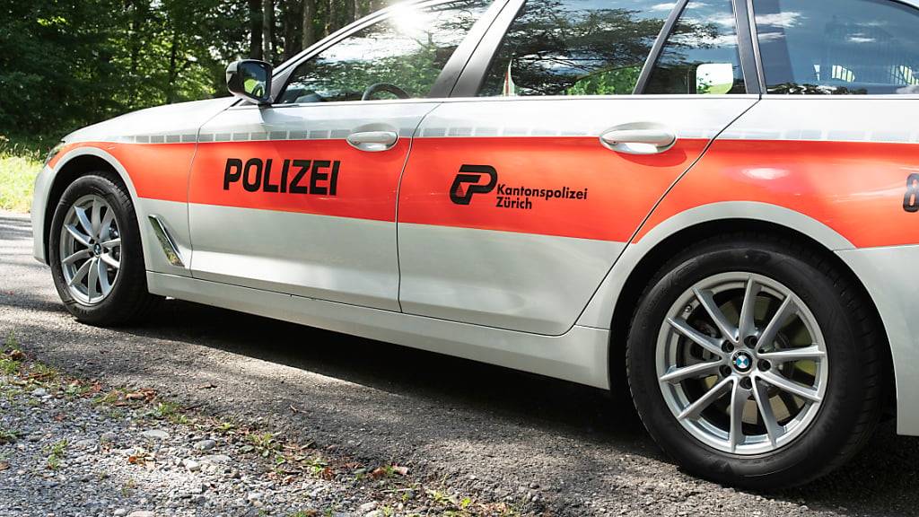 Ein E-Trotti-Fahrer hat in Regensdorf einen Polizisten umgefahren und schwer verletzt. (Symbolbild)