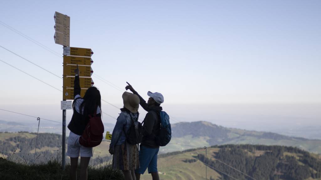 Der Weg auf dem Pizol war vor Ort als Bergwanderweg ausgeschildert, einen Hinweis auf Befahrbarkeit mit Rollstühlen gab es nicht. (Symbolbild)