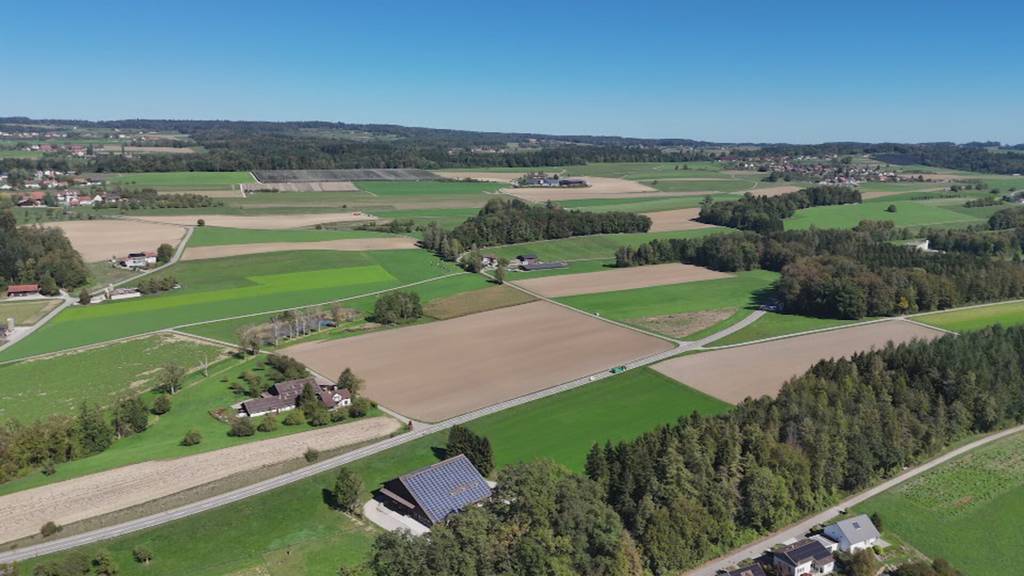 Tierseuche im Thurgau: Mehrere Betriebe von Lungenkrankheit betroffen