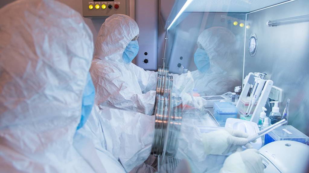HANDOUT - Dieses undatierte im Jahr 2019 aufgenommene Foto, das vom Forschungsinstitut für Pestbekämpfung in Irkutsk für Sibirien und den Fernen Osten via AP veröffentlicht wurde, zeigt Mitarbeiter des Instituts in einem Labor. Foto: Uncredited/The Irkutsk Anti-Plague Research Institute of Siberia and Far East/AP/dpa