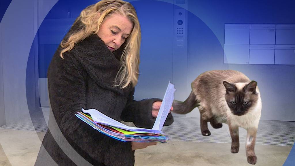 Astrid Becker soll eine Katze ohne Einverständnis vermittelt haben