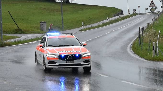 Fünf Verletzte bei Schlägerei in Goldau