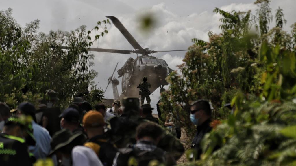 ARCHIV - Soldaten sind an Koka-Plantagen in Kolumbien im Einsatz (Archivbild). Foto: Álvaro Tavera/colprensa/dpa