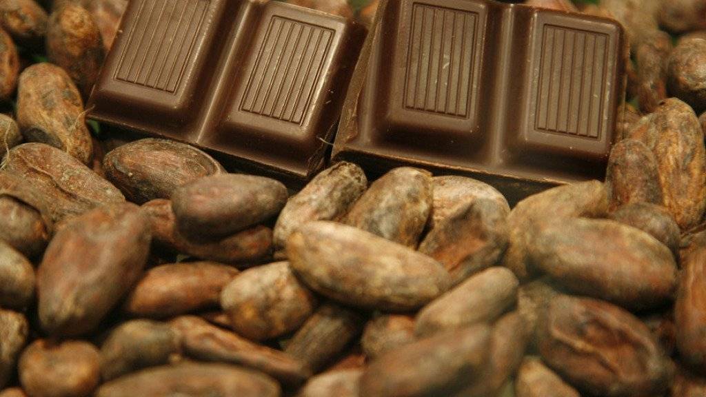 Schokolade auf Kakaobohnen. Der Mann soll mehrmals Schokolade gestohlen haben (Symbolbild)
