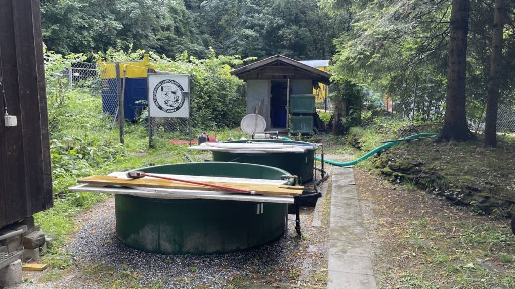 Weil die Wasserpumpen keinen Strom hatten, verendeten fast alle Fische in dieser Zuchtanlage in Malans GR.