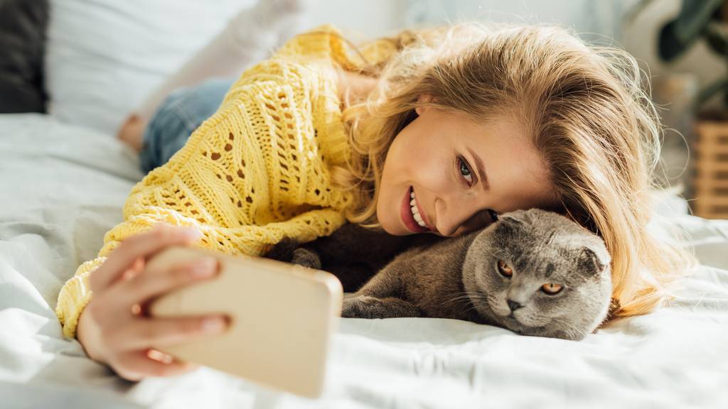Neue Dating-App verbindet Katzenfreund