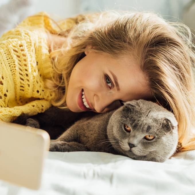 Neue Dating-App verbindet Katzenfreund