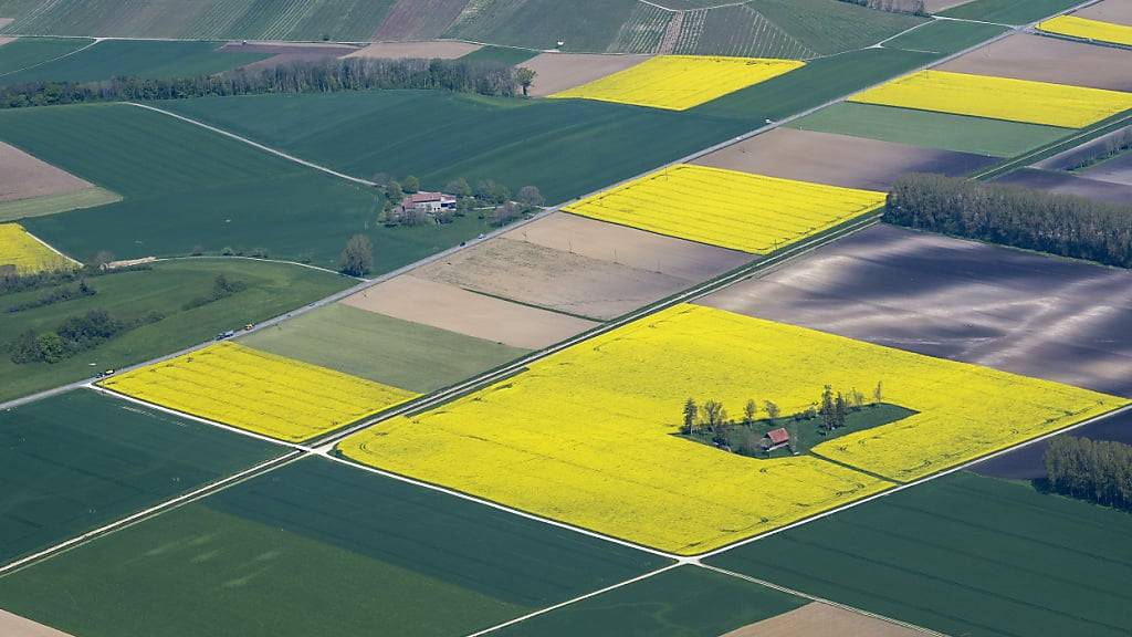 Schweizer Bauern sollen keine zusätzlichen Biodiversitätsförderflächen auf ihren Äckern ausweisen müssen. Das Parlament will, dass der Bund auf diese Massnahme verzichtet. (Themenbild)