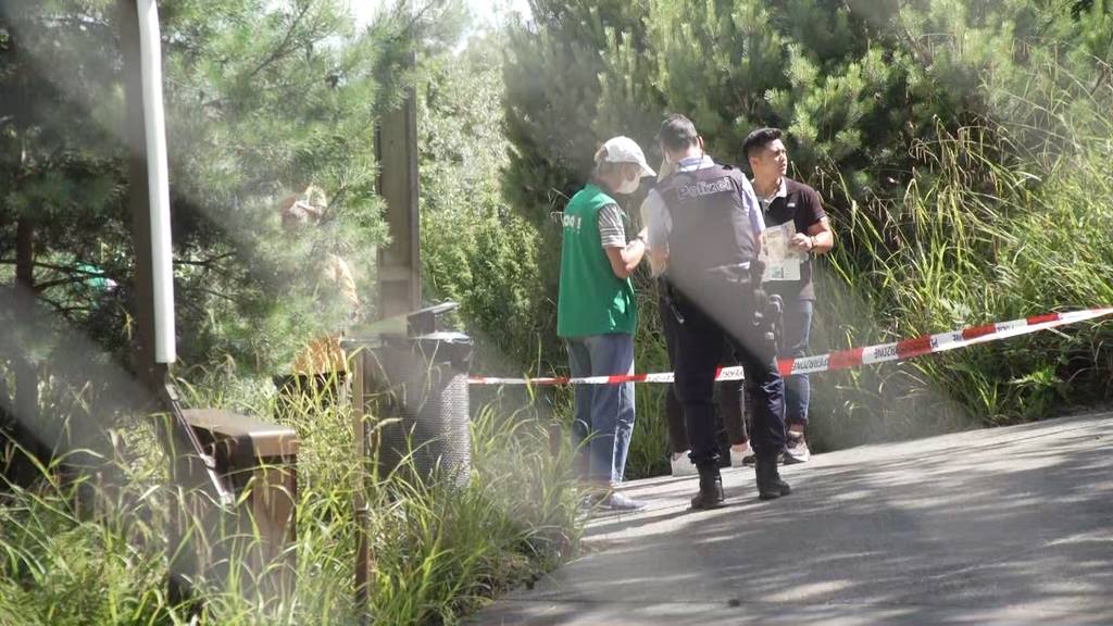 Zoo Zürich: Tiger verletzt Tierpflegerin tödlich 