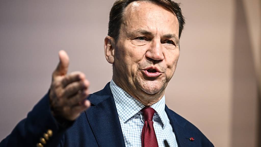 ARCHIV - Künftig werde es keine undurchsichtigen Wege für die beschleunigte Erteilung eines Visums mehr geben, sagte Außenminister Radoslaw Sikorski in Warschau. Foto: Britta Pedersen/dpa