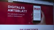 Online-Strategie