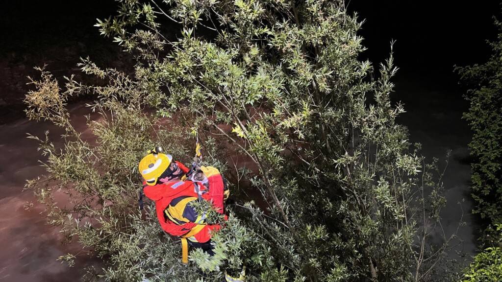 Die Churer Feuerwehr rettete die Katze bereits zum zweiten Mal aus der gleichen misslichen Lage.