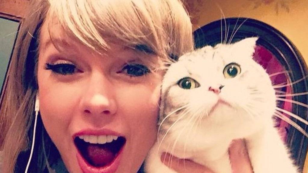 Taylor Swift mit Meredith, einer ihrer «cool cats» (Twitter).