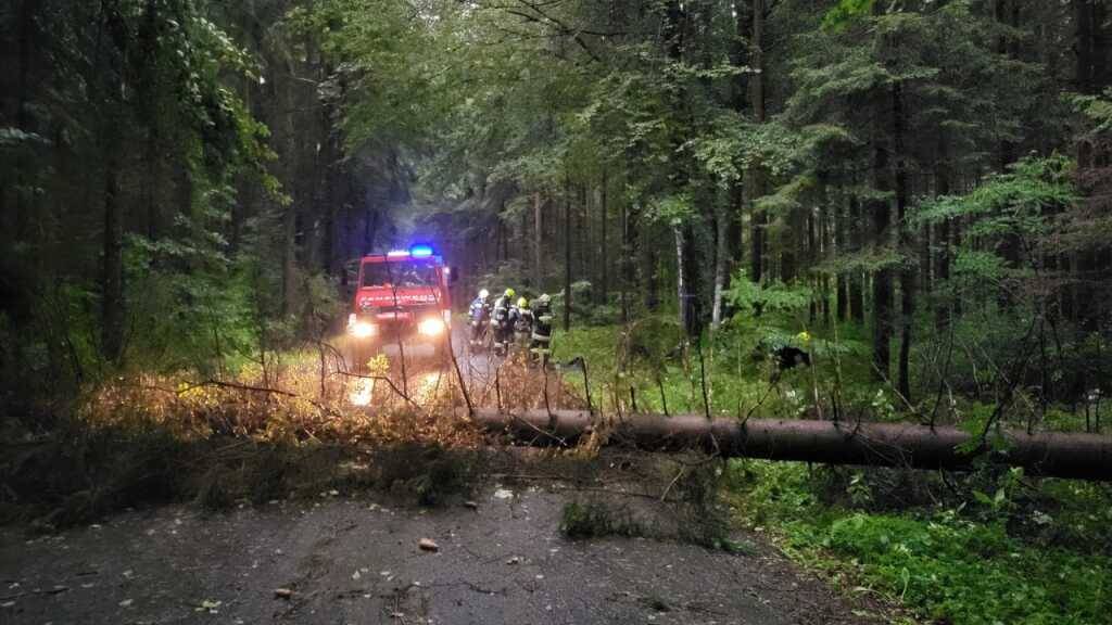 HANDOUT - Feuerwehrleute arbeiten auf einer Straße, die durch einen von Unwetter umgestürzten Baum versperrt wird. Foto: Feuerwehr St. Martin/BFVDL DEUTSCHLANDSBERG/APA/dpa - ACHTUNG: Nur zur redaktionellen Verwendung und nur mit vollständiger Nennung des vorstehenden Credits