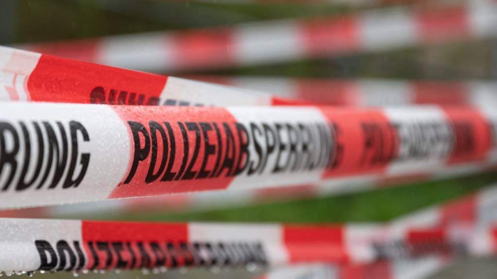 Frau in Mörigen BE von Zug erfasst und tödlich verletzt