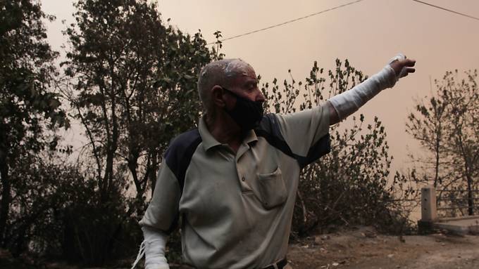 Waldbrände in Algerien - 32 Tote und mehr als 100 Feuer im Land