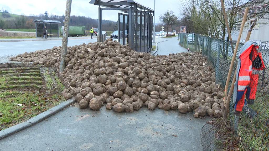 Zuckerrüben landen in Bushäuschen in Birmenstorf