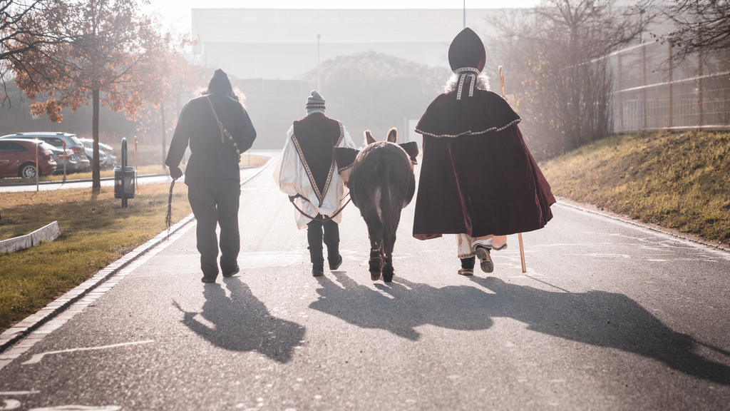 Zwei Esel im Aargau – Samichlaus-Edition