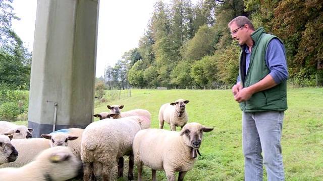 Der Wolf kommt zurück