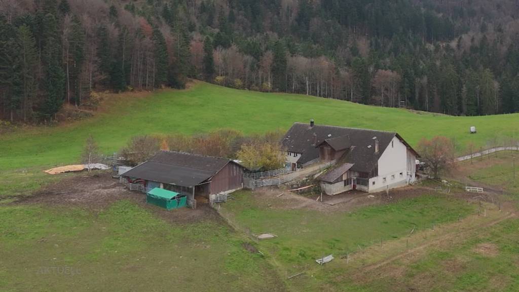 Psychologe schätzt ein: Warum kommt es bei Tierhaltern zu solchen Überforderungen?