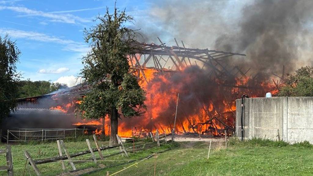 Nach dem Scheunenbrand in Oberkirch LU musste eine Person zur Kontrolle in ein Spital gebracht werden.